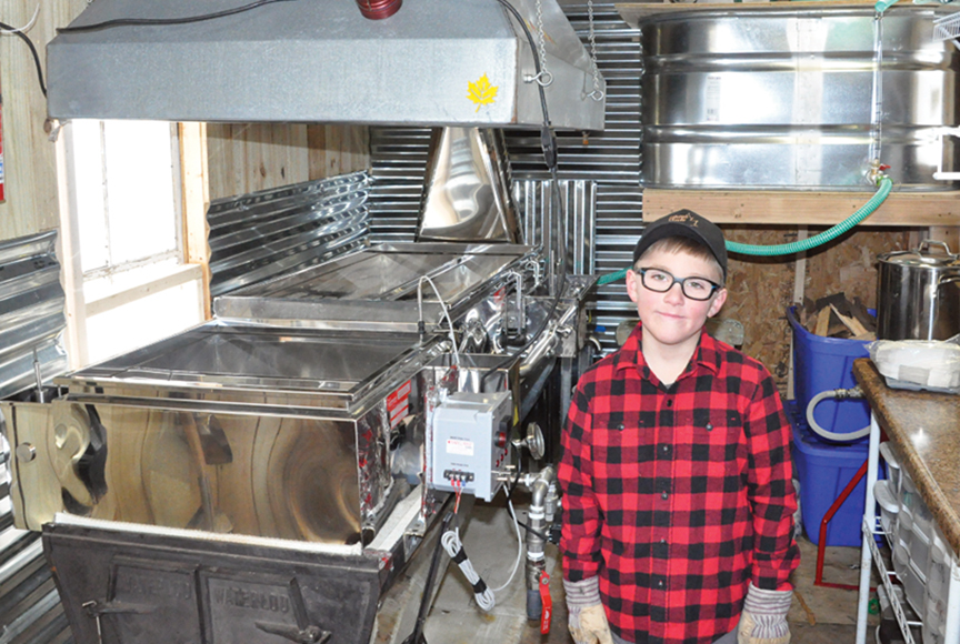 Maple Sugaring  A Passion For  This Ten -Year Old