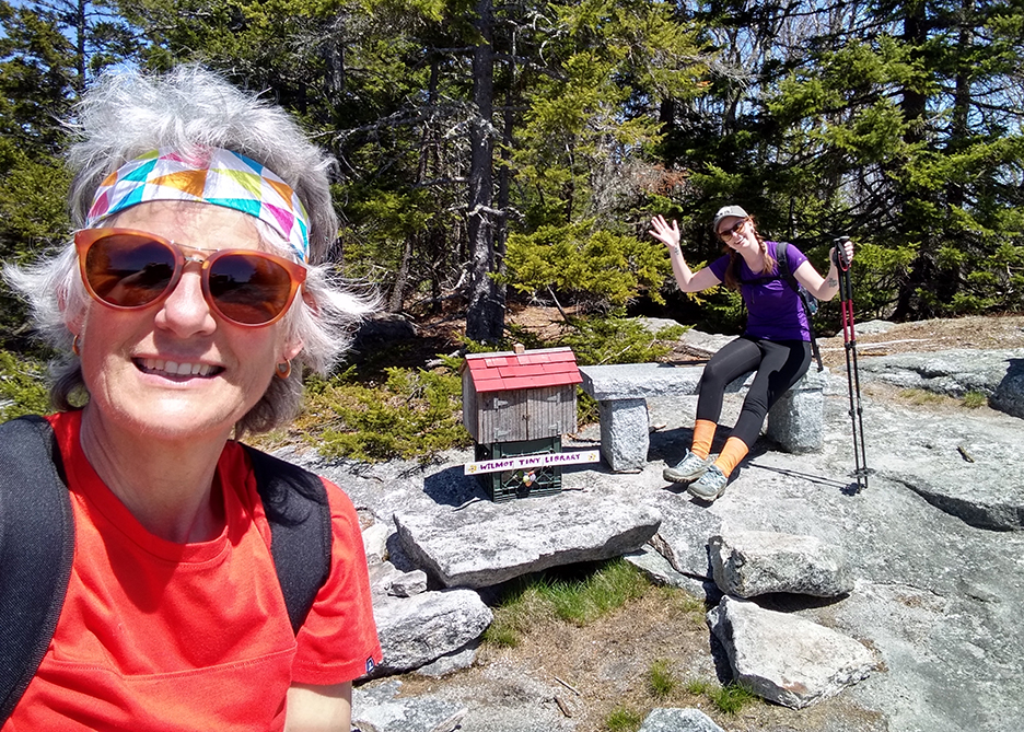 Wilmot’s Bog Mountain –  A Great Little Hike