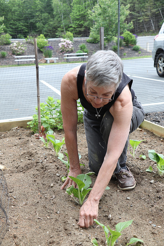 Wright Museum’s Victory Garden  Continues to Bear “Fruit”