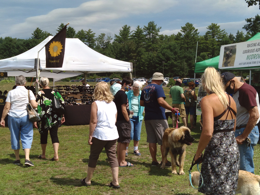 On The Green Craft Fair in Wolfeboro