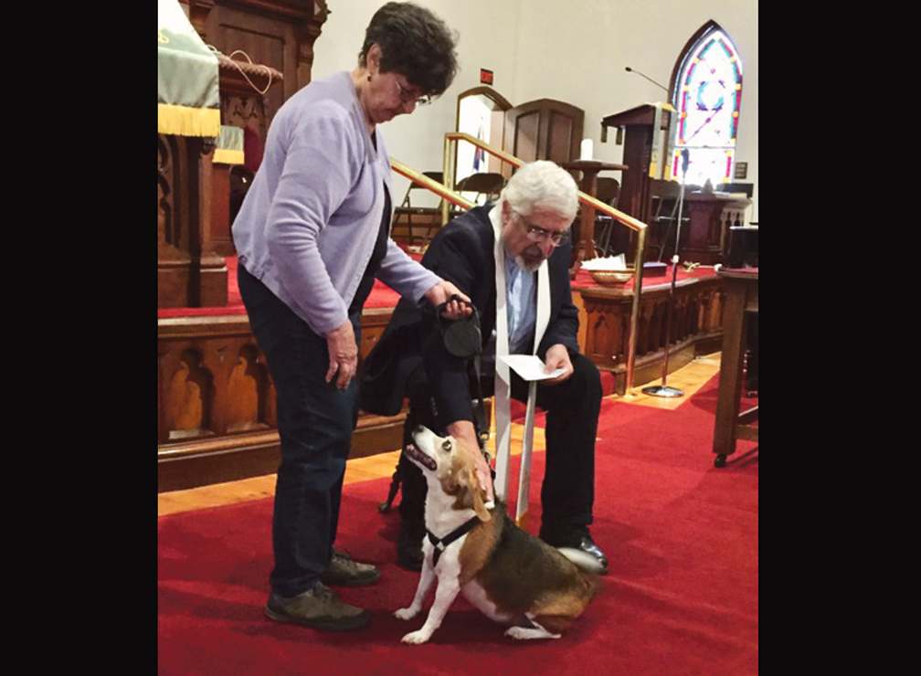 Blessing Of The Animals In Farmington