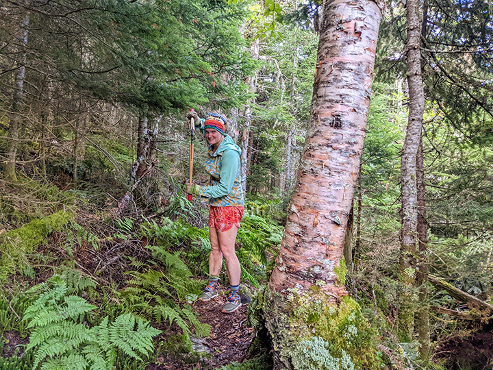 Randolph Mountain Club Trailwork – The Link