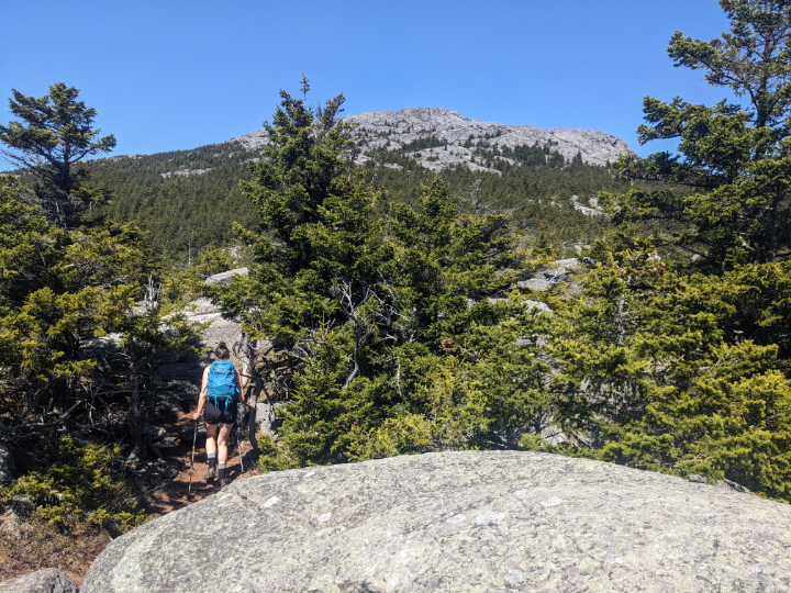 Mount Monadnock: Marlboro Trail And Monte Rosa